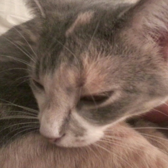 Meet your Posher, Sally - Picture 7 of 16